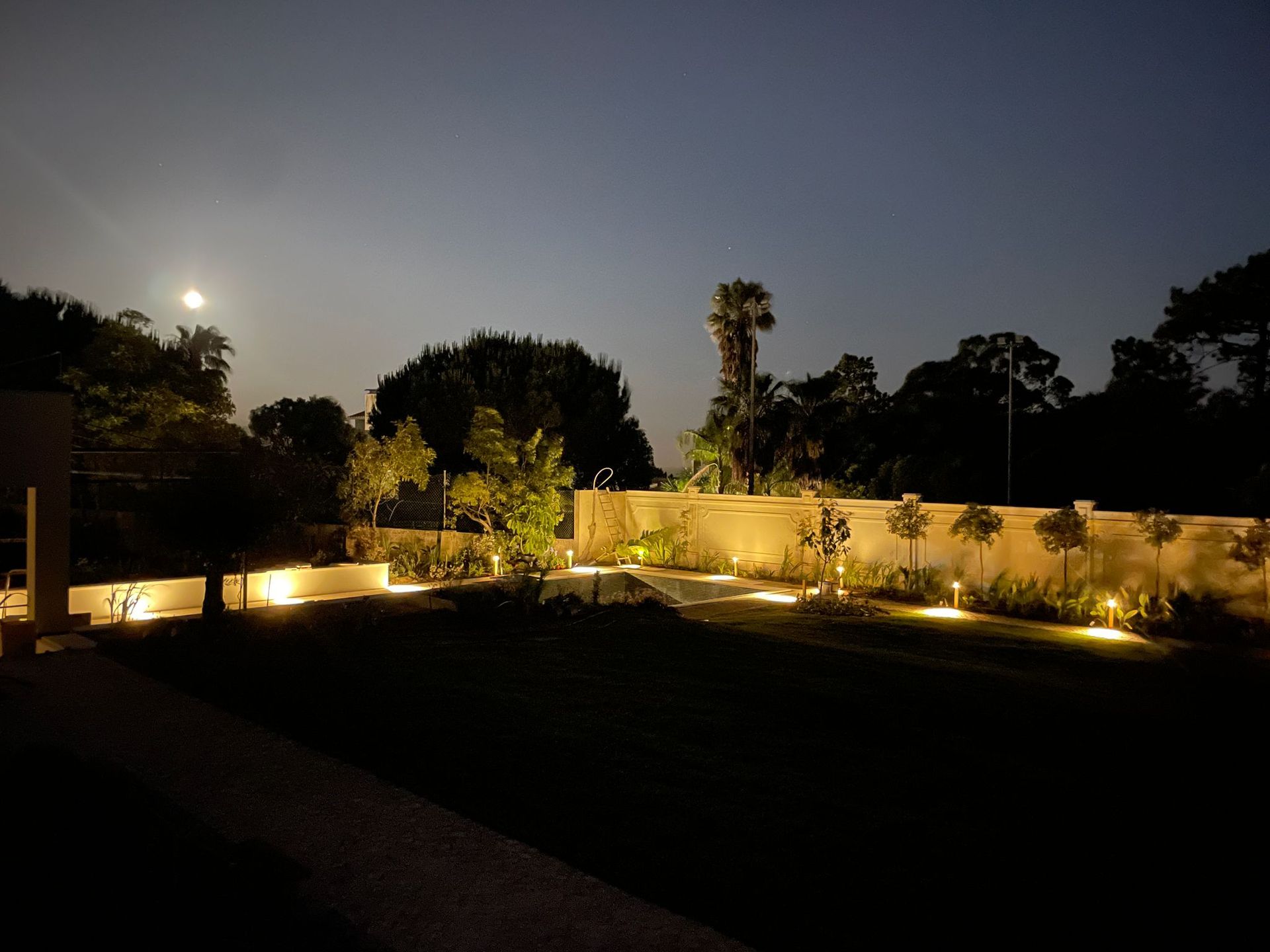 A garden lit at night under a full moon