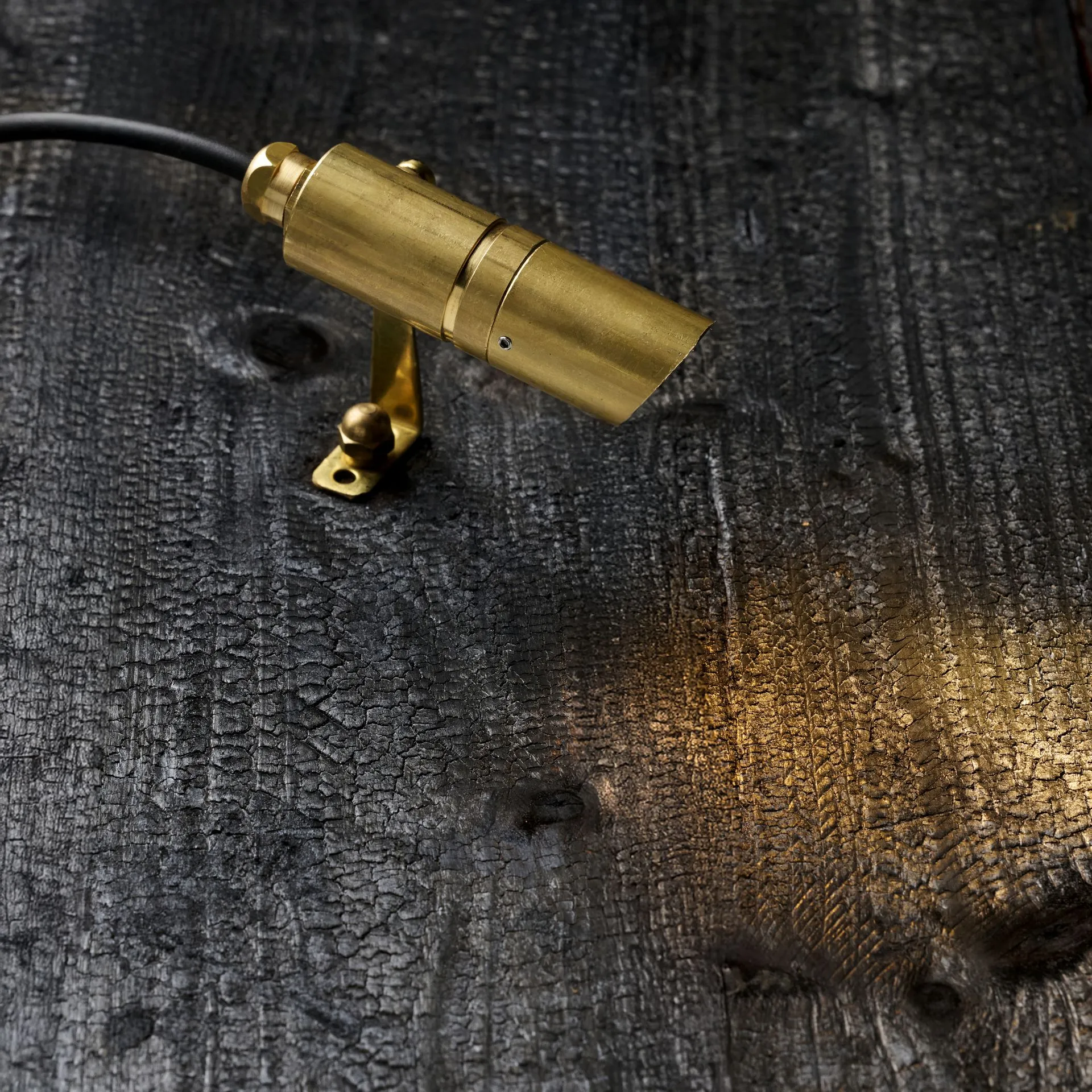 Zapa Snoot, solid brass, on burnt wood, photo 1