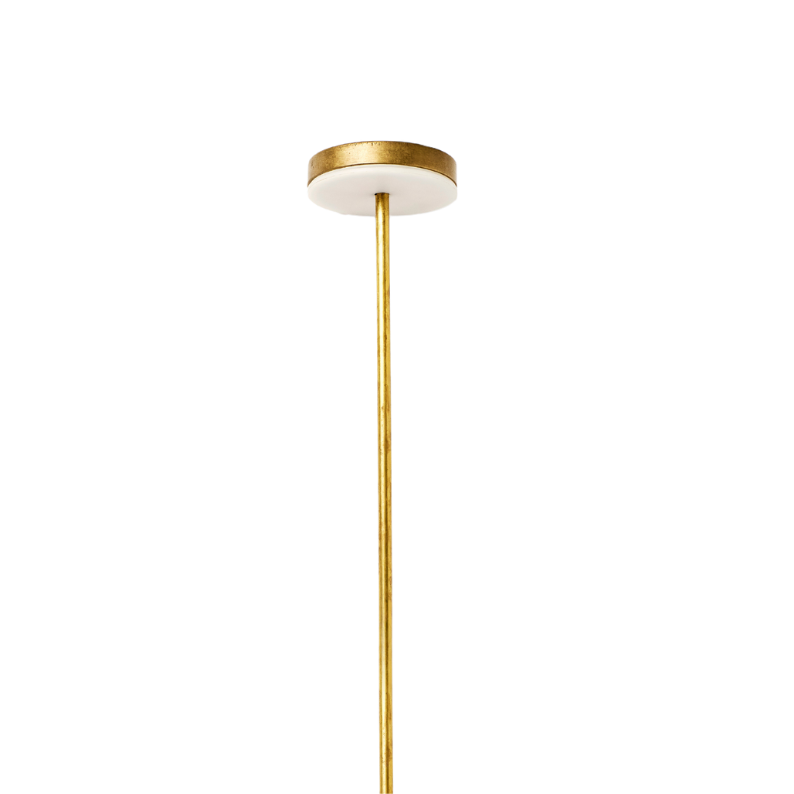 Zapa Fungo