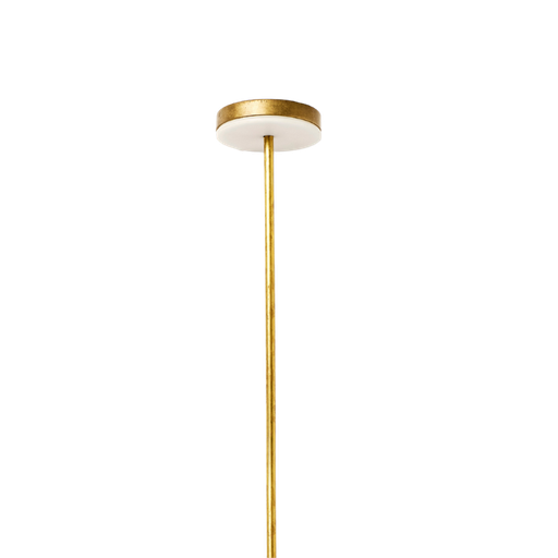 [NT-ZF-BR] Zapa Fungo